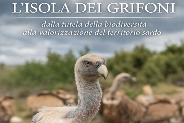 L'Isola dei Grifoni - Convegno