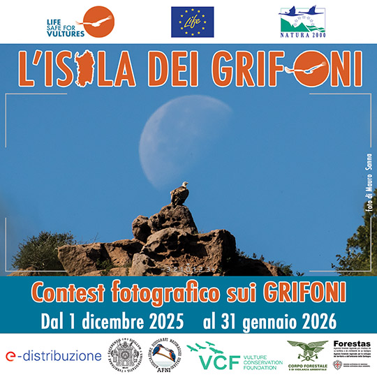 locandina contest